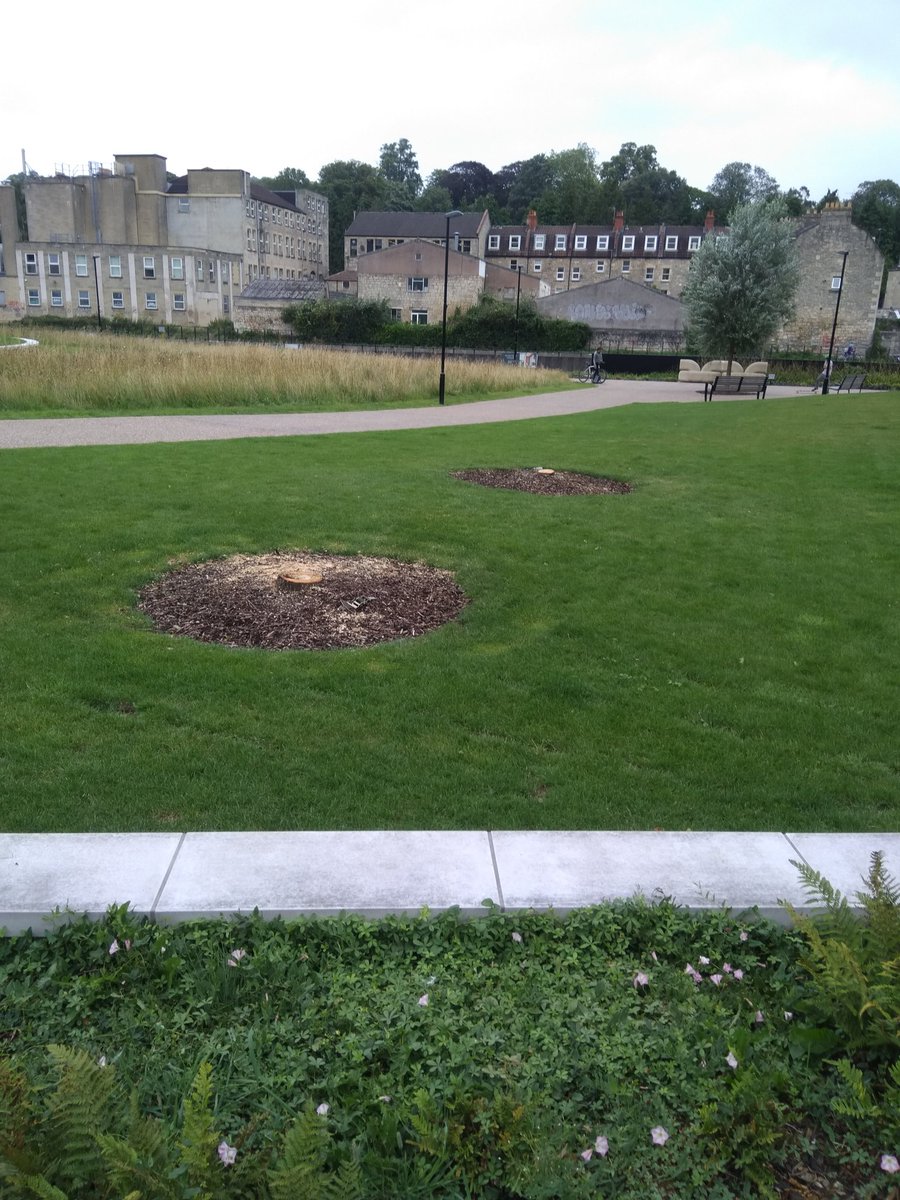 Zone Twelve tweet media