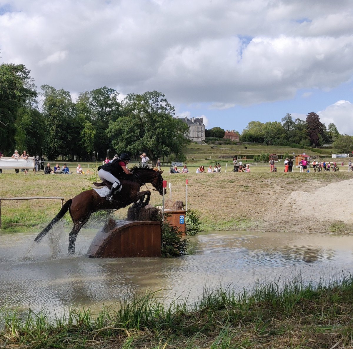 's tweet image. Un après-midi au Pin #harasdupin #grandcomplet