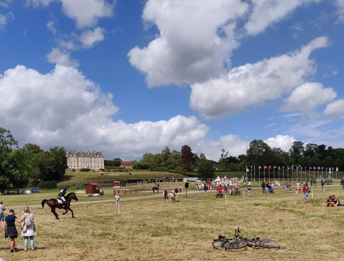 's tweet image. Un après-midi au Pin #harasdupin #grandcomplet