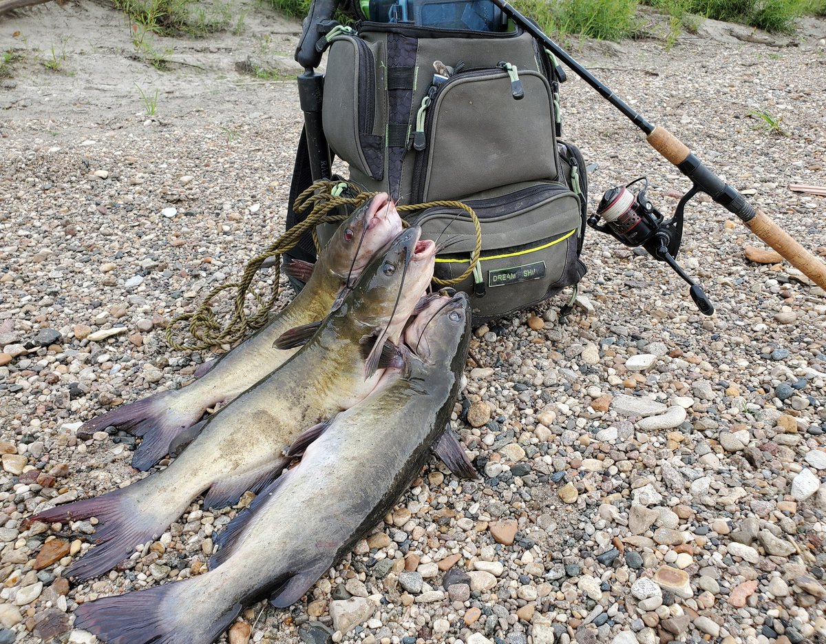 I invited some friends over for dinner the other day😁 hope you are all having a great weekend!
#catfish #rivercertified #itstheweekend