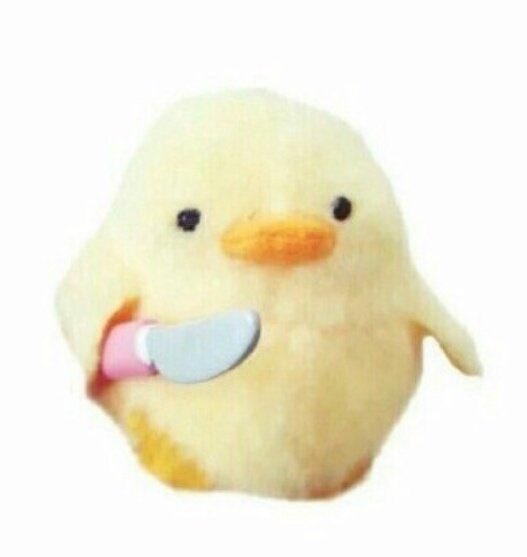 - Hola todo bien?
- A QUIÉN VAS A VOTAR