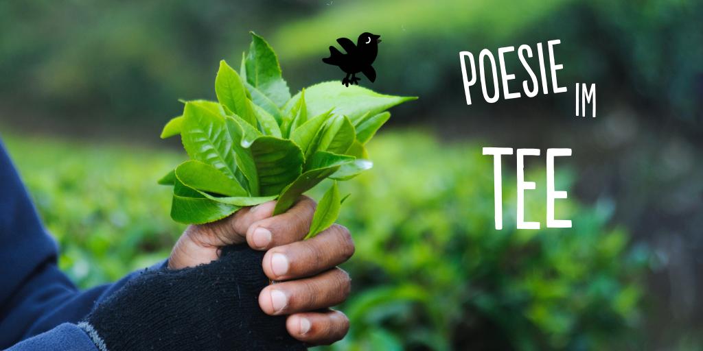 5CUPS_de's tweet photo. Flowery Orange Pekoe – klingt richtig poetisch, oder? 😍 Dieser hübsche Ausdruck beschreibt den Blattgrad des Tees. ☝️ In der Regel handelt es sich um indischen Tee mit langen Blättern und wenigen Spitzen in hoher Qualität. 💯
#5cupsandsomeleaves https://t.co/X04uJoNGSo