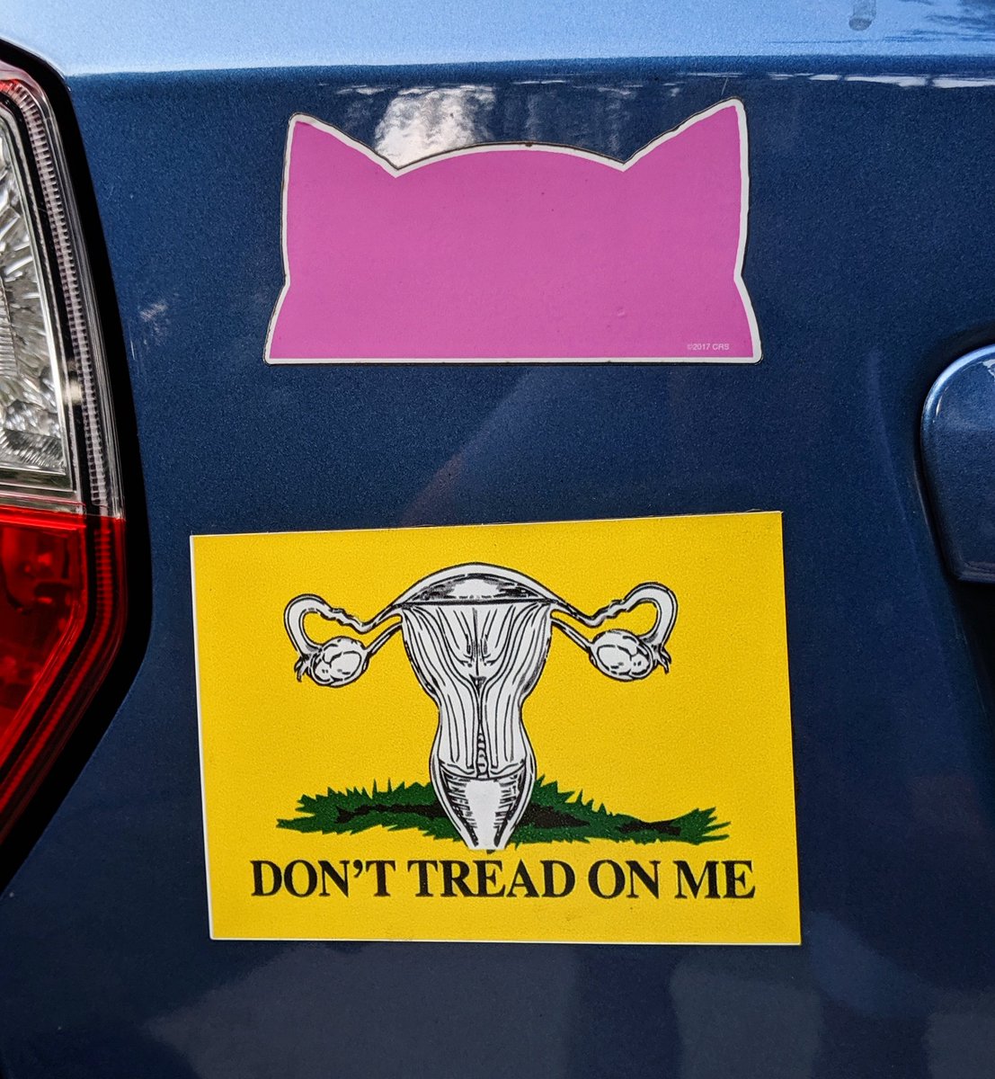 Patrick_Irelan's tweet photo. "Don't tread on me" #resist #Trump #Virginia #politicalart #politics #artivism #streetart #womensmarch @womensmarch #donttreadonme #signsofresistance #art #theresistance #resistance https://t.co/DQ91wlwJRE https://t.co/aVfk331eGN