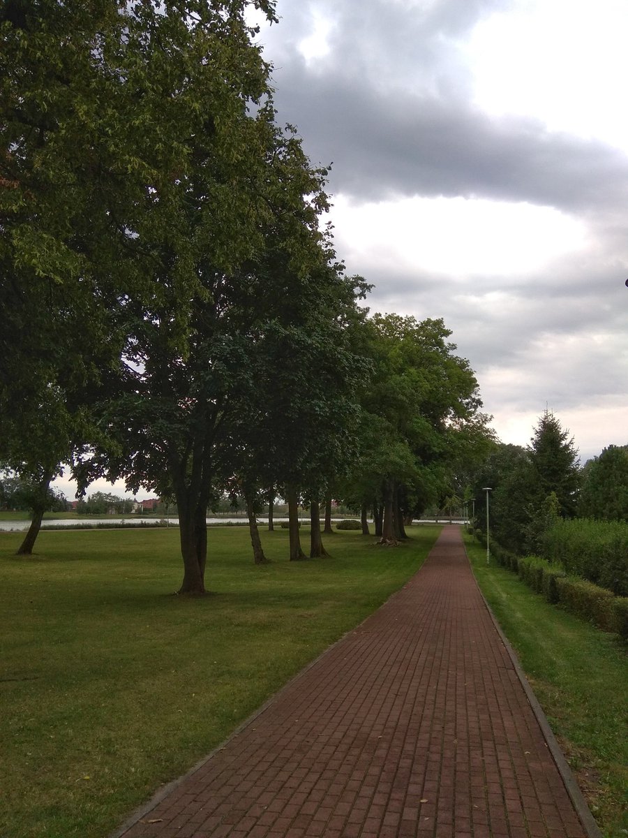 makneta's tweet image. Day 1 of #100DaysOfRunning I won't be running everyday b/c last time I had massive problems with my knee but I need to start moving more.  #coderslife #runningintherain