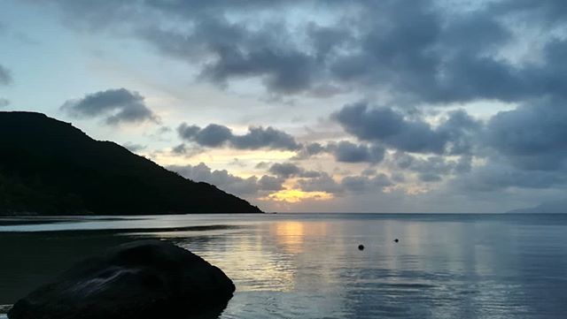 efonts's tweet photo. Posta de sol: per una carretera infernal s'arriba al final de l'illa, el Cap Ternay. No hi havia ningú, ja, només crancs.

#CapTernay #Seychelles https://t.co/D98T9fFezU https://t.co/CCfvcH994E