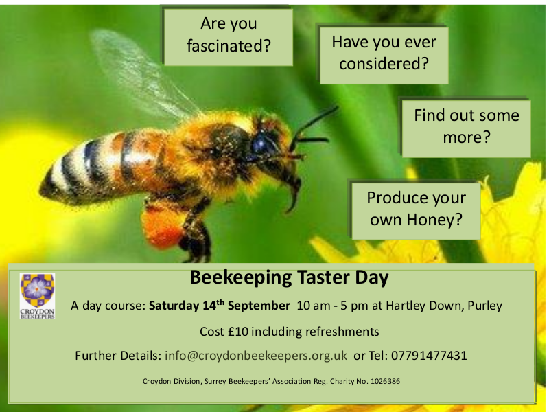 CroydonBKA's tweet photo. You are not too late for this year! We're running a taster day in September at our apiary near Old Coulsdon for anyone interesting in #beekeeping or indeed #bees. Come along and find out if beekeeping is for you and get set to keep bees in 2020. https://t.co/ixUEtyqvK2