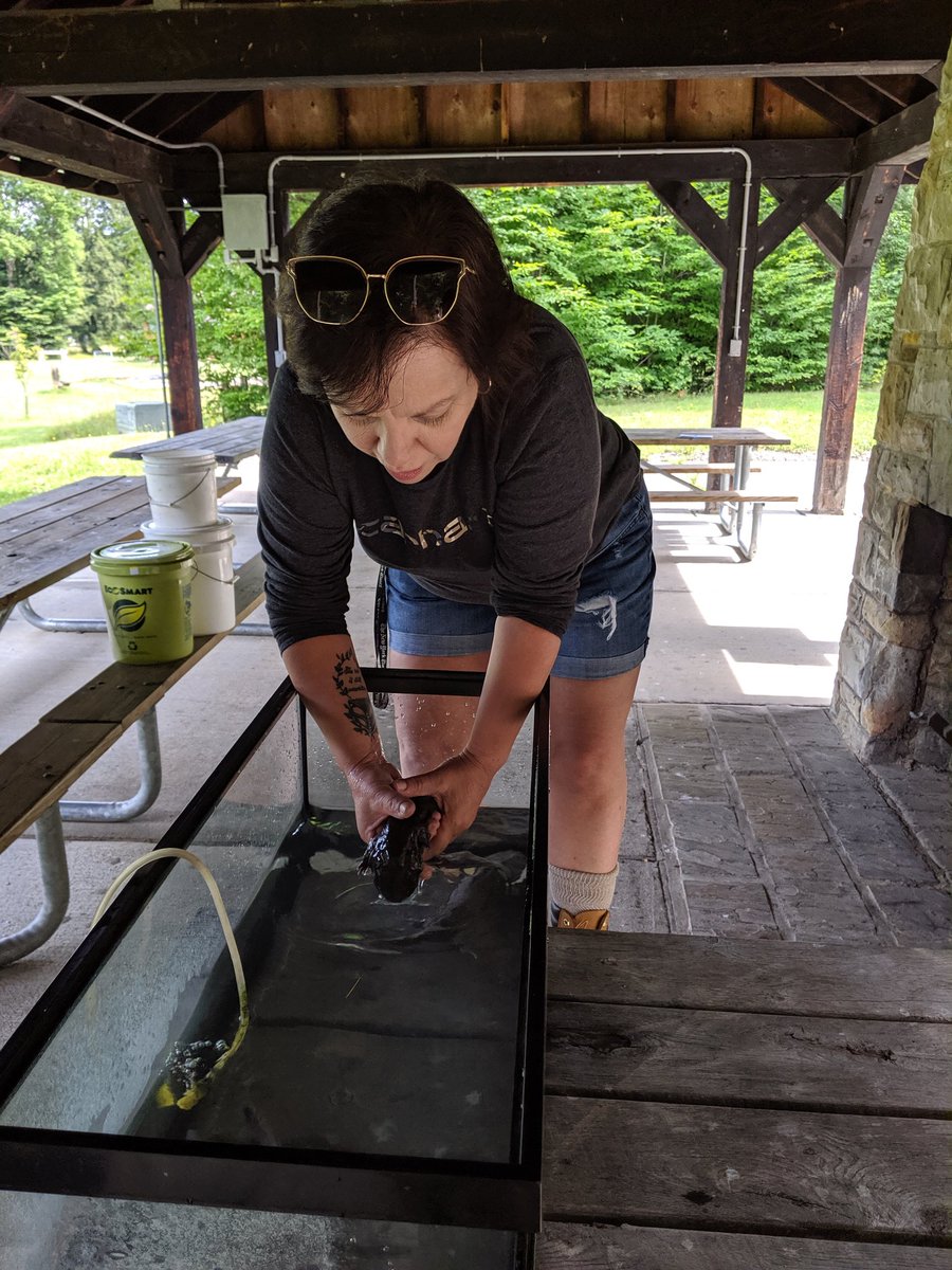 DrummLorri's tweet photo. Hellbender holding #Chapman State Park https://t.co/bKkLdVu53P