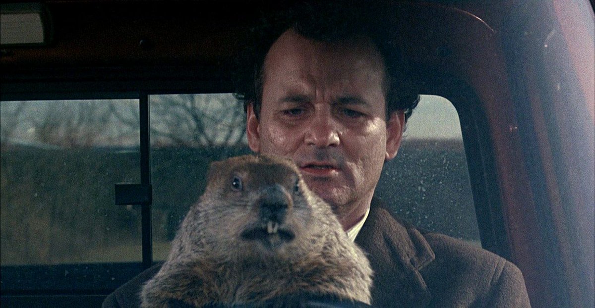 Taste of Cinema tweet media