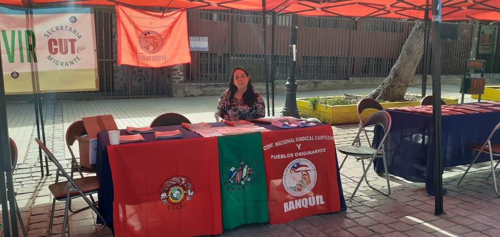 CUT Chile ✍️🗳 tweet media