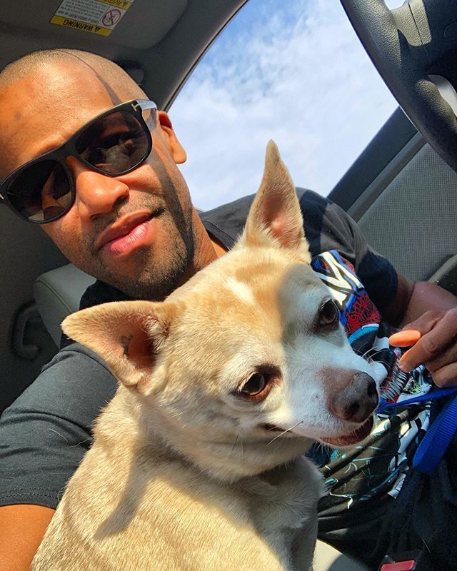 thisnigel's tweet photo. Not as good as the last pic but kinda hard when there is a doggo, food and driving involved.
#thisnigel #doggo #peeps #family #weekend https://t.co/0zgezgJHIL https://t.co/lkzwDeSd9v