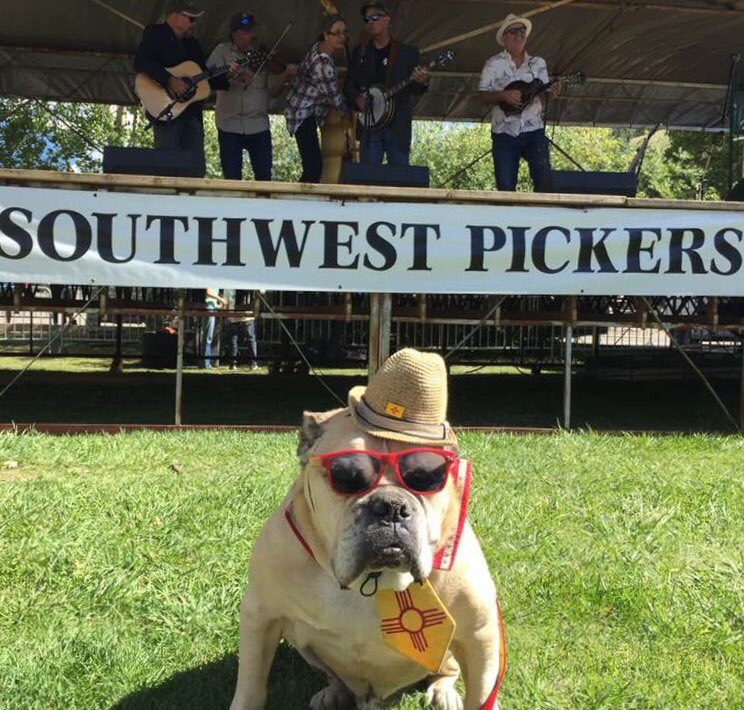 HigherGroundNM's tweet photo. Can we have a moment of silence for this good boy, our friend, Travellin’ Jack, New Mexico’s Roving Animal Ambassador.  Rest In Peace, Jack.
#TravellinJack #NMDogs https://t.co/BstwW4YFJe