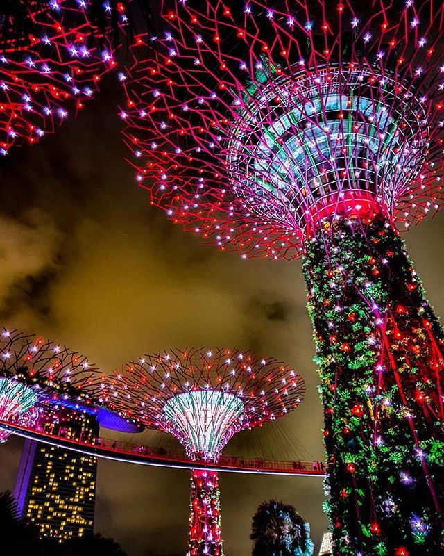 BackstreetNomad's tweet photo. Garden Rhapsody at the Supertree Grove is a fun way to end a day in Singapore. After visiting the Cloud Forest and Flower Dome greenhouses the #squadsq crew pulled up a piece of concrete and looked up to a light show that celebrated Singapore for their N… https://t.co/huFiuWT7pF https://t.co/rxL9aLR4Oo