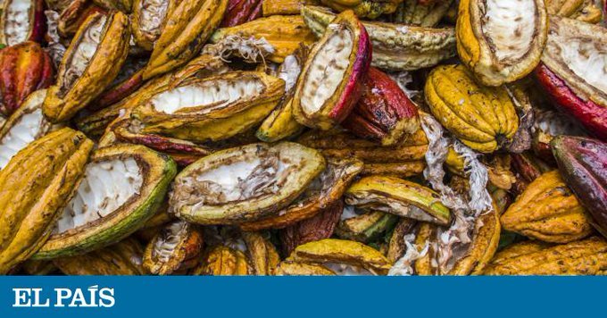 sabadoverde's tweet photo. 📞ENTREVISTA - Nora Ramón- Ingeniera química de la Federación de Pequeños Exportadores Agropecuarios
Orgánicos del Sur de la Amazonía Ecuatoriana #APEOSAE - @opeosae (Instagram) https://t.co/cUjdnuLdBj
