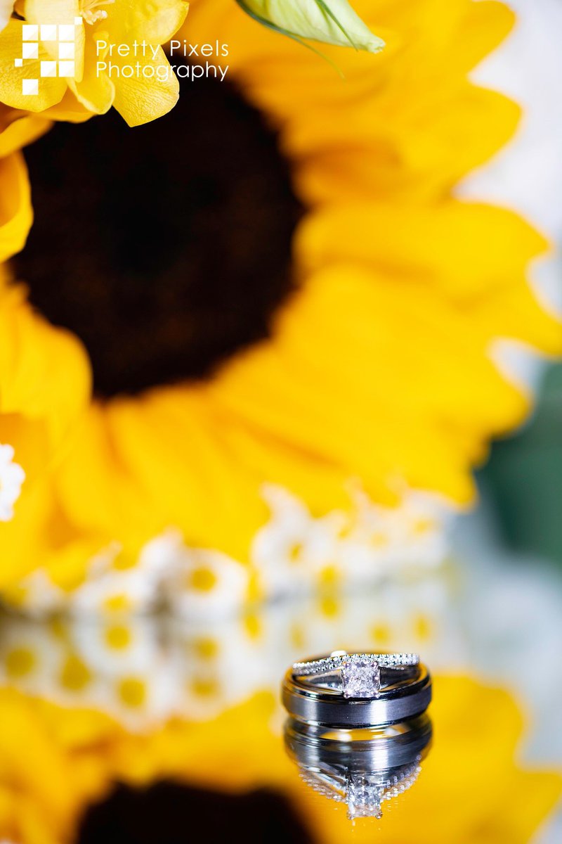 PrettyPixelsKY's tweet photo. One of the brightest weddings we shot this summer! We love all the 💛 #wedding #summerwedding #kyphotog https://t.co/Hzq8D8YM9K