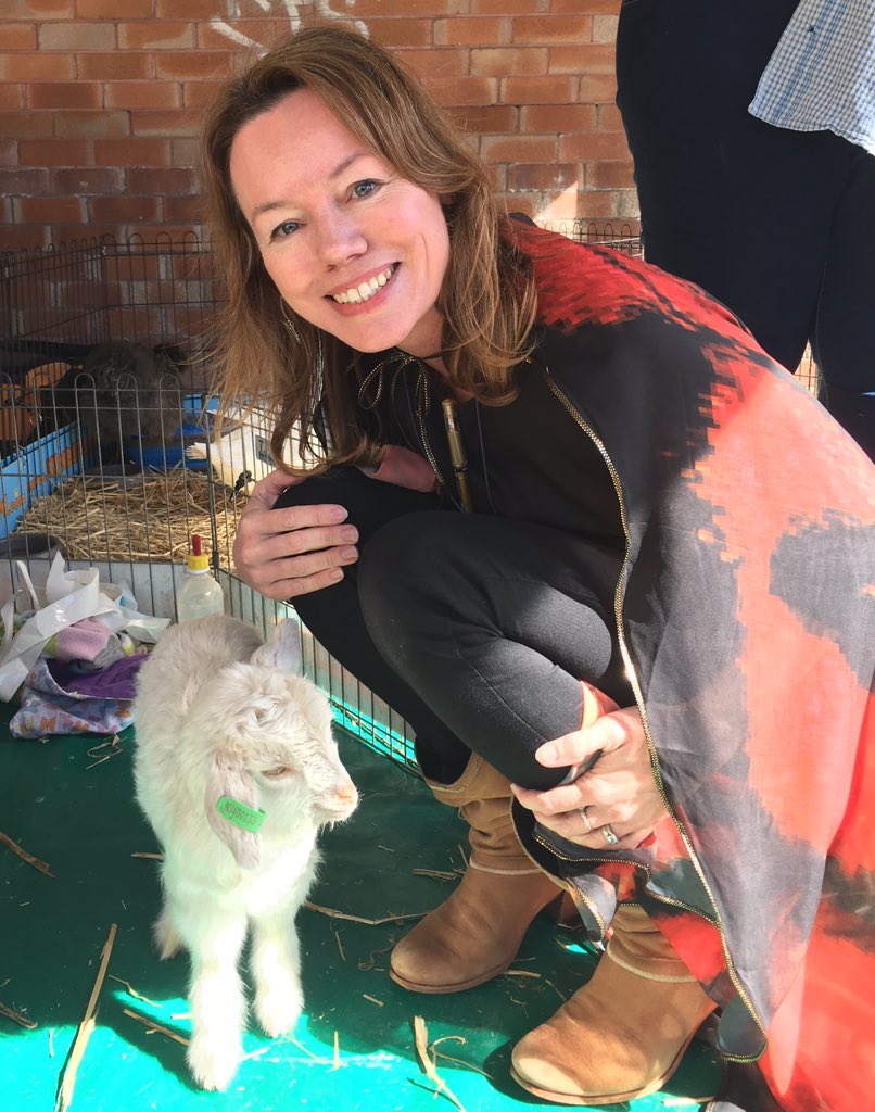 AuraParker's tweet photo. LOVE Your Bookshop Day celebrations included storytime and a baby animal farm. Thank you to The Children’s Bookshop for a fantastic day of bookish fun! ♥️♥️♥️♥️
#LYBD #loveyourbookshop https://t.co/Fx95LgdqMF