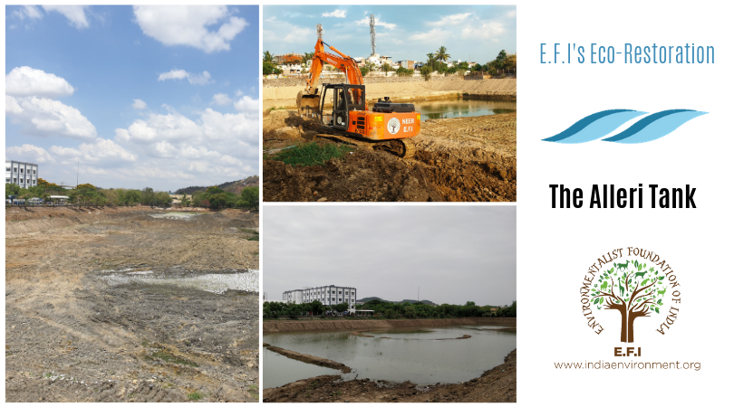 EFIVolunteer's tweet photo. #OasisinChennai
The Alleri tank in the south-western suburbs of Chennai was recently restored and is now waiting for the monsoons!

An Oasis in Chennai!

Read more about the restoration here: https://t.co/0BgnSvY0Gz

#water #lake #EFI #Restoration #chennai #ChennaiWaterCrisis https://t.co/WG2AQLJjIe