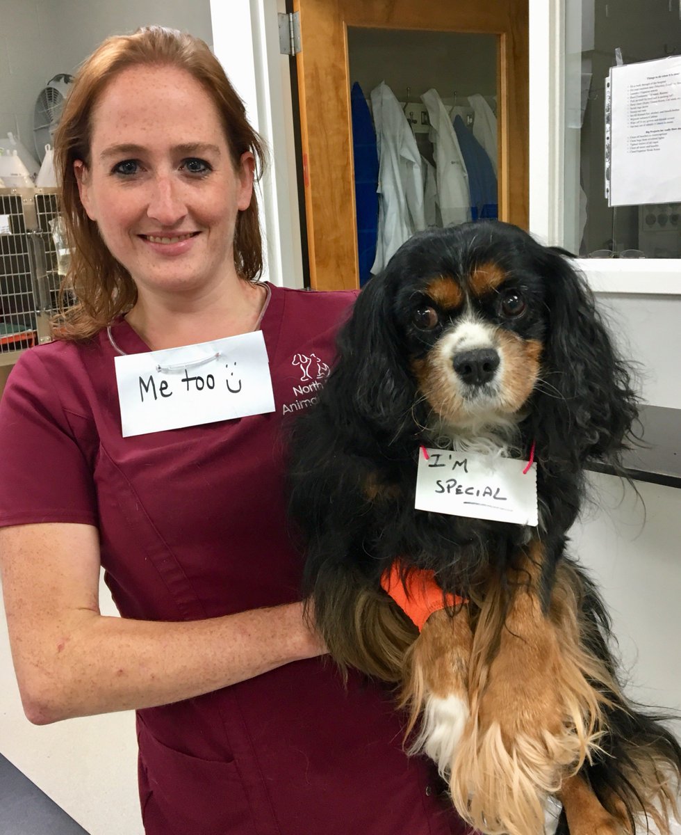 northelmanimal's tweet photo. Andie Carroll's dad made her a sweet necklace to wear to her dental cleaning visit. We didn't want Vet Tech, Katelin, to feel left out!  They ARE both very special and Andie did great today getting her teeth clean and sparkly again! https://t.co/oYc4oTW0cf