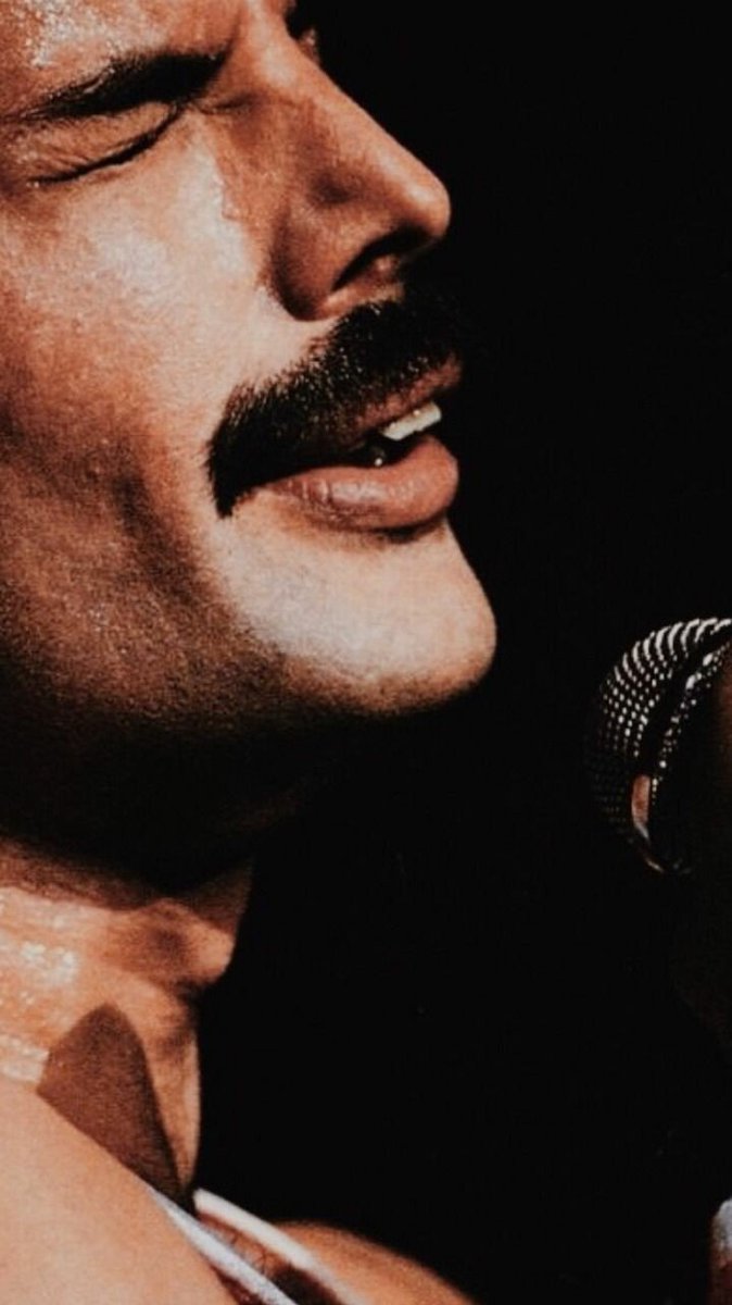 GimmeOneVision's tweet photo. Freddie ♥️ (my current screen wallpaper) https://t.co/RvrSI3VTIK
