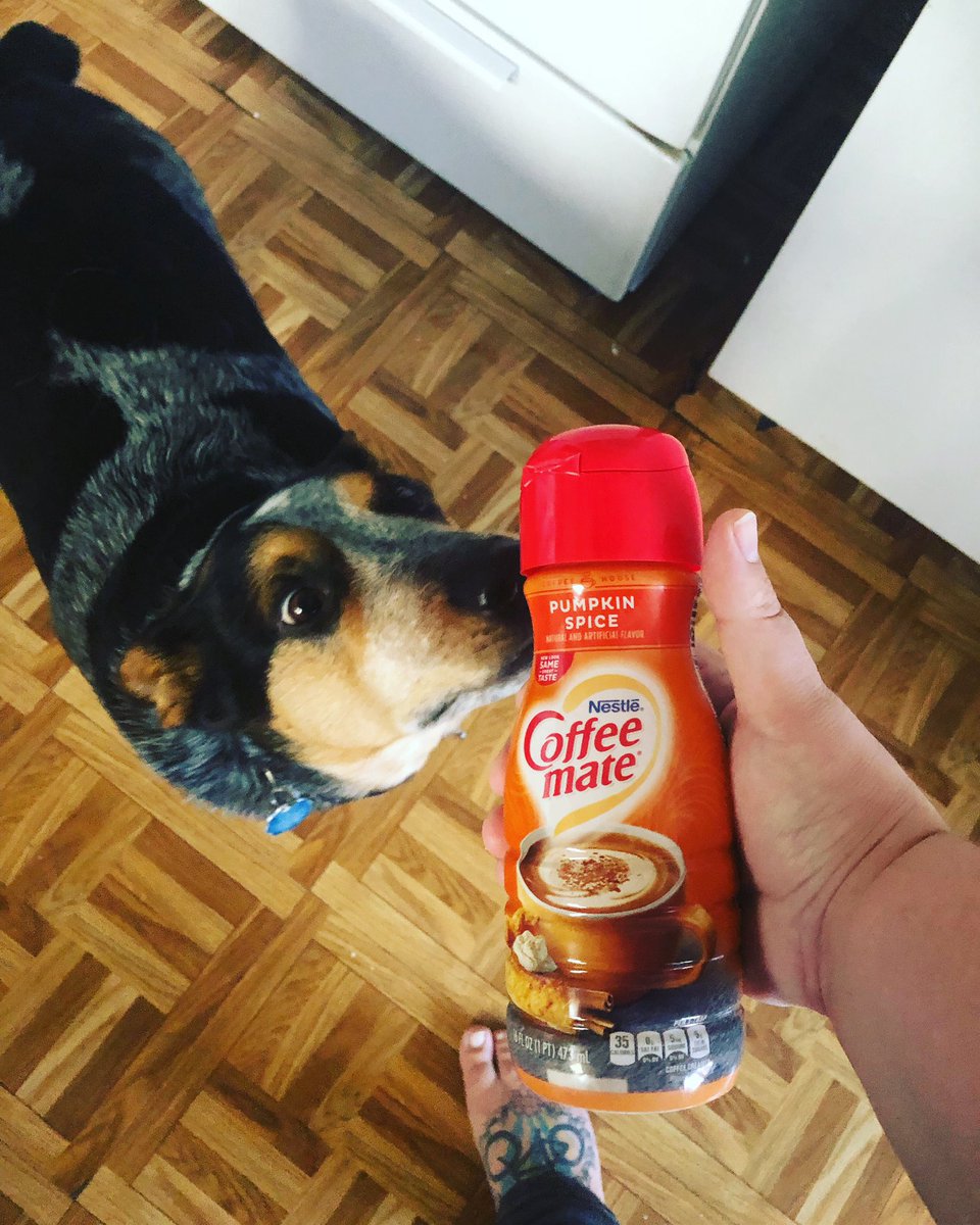 Crime_Shark's tweet photo. My #podcastfuel is pretty #basic 💁🏻♀️. I woke up to a beautiful 60 degrees here in #BuffaloNY do I think it’s officially #pumpkinspiceseason 🤤. My number 1 research assistant is by my side and ready for the day! #goodmorning #coffee #basicaf #podernfamily #basicshark https://t.co/ZmPIBAqdX8