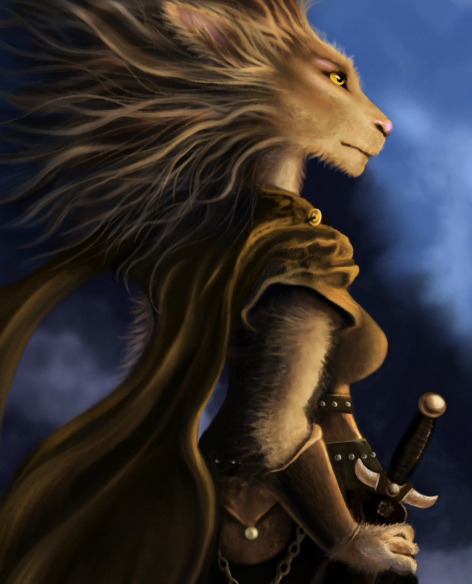 elder scrolls khajiit art elder scrolls khajiit art