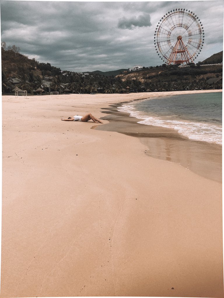 🎡