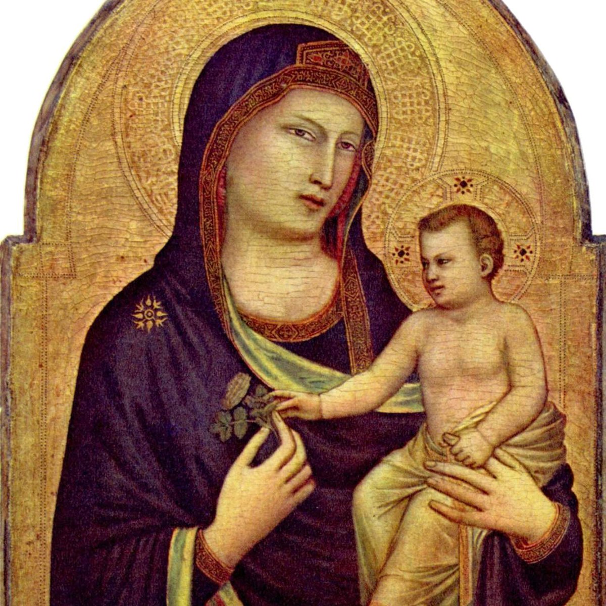 quellodiarte's tweet photo. Cennino #Cennini descrive così il ritorno all'antico di Giotto: «rimutò l'arte del dipingere di greco in latino e ridusse al moderno».
(Giotto, Madonna della National Gallery di Washington) https://t.co/oCWAVMOuTj