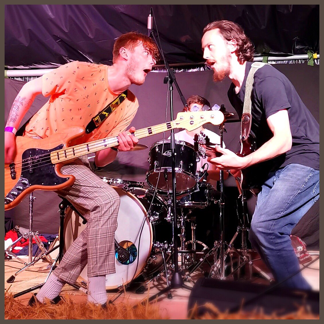 Down on the Farm Festival 2019 - you were amazing thank you so much! 🦔 x