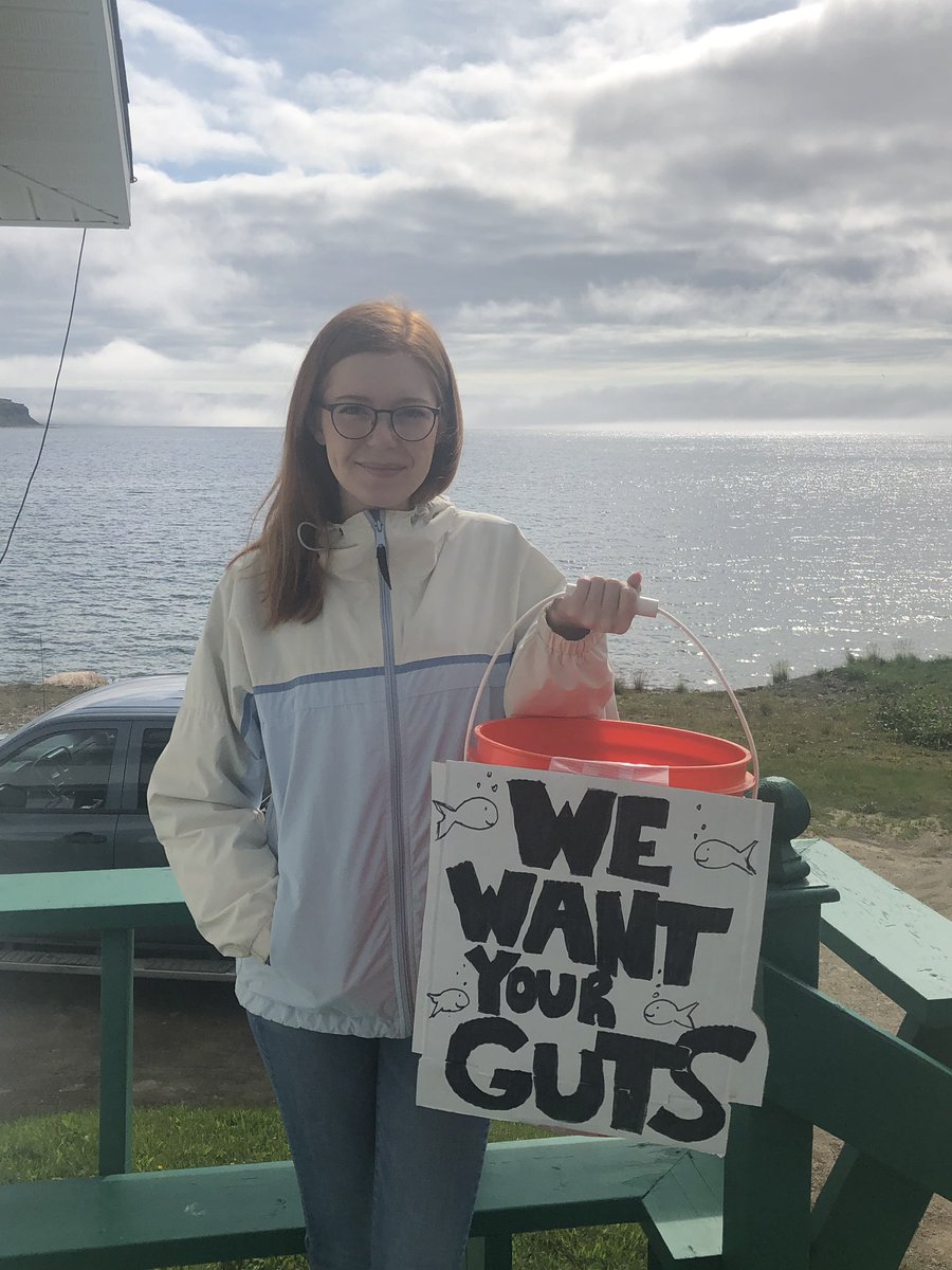 natasha_healey's tweet photo. The #CLEAR lab is collecting cod guts to look for microplastics. If you are interested in knowing if your food is contaminated, I’ll be on the Forteau bay wharf this weekend &amp; Monday collecting guts! For more info, visit https://t.co/SNFfoprpeP @LabradorStraits @MaxLiboiron https://t.co/GtJvloY5cZ