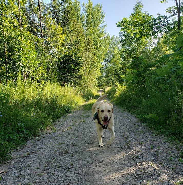 DefinePlanet's tweet photo. Weekend = trail walk + dog 🐕!! ❤️❤️❤️
#petparent #greenbags #savetheworld #gogreen #bamboo #winteriscoming #snow #biodegrad #bowls #dogbowl #poobags #scentedbags #poobagsrescue #cute #weeklyfluff #bamboo #gogreen #nowaste #compost #sustainability #define_planet #loveyourplan… https://t.co/1Fb1qeHbAv