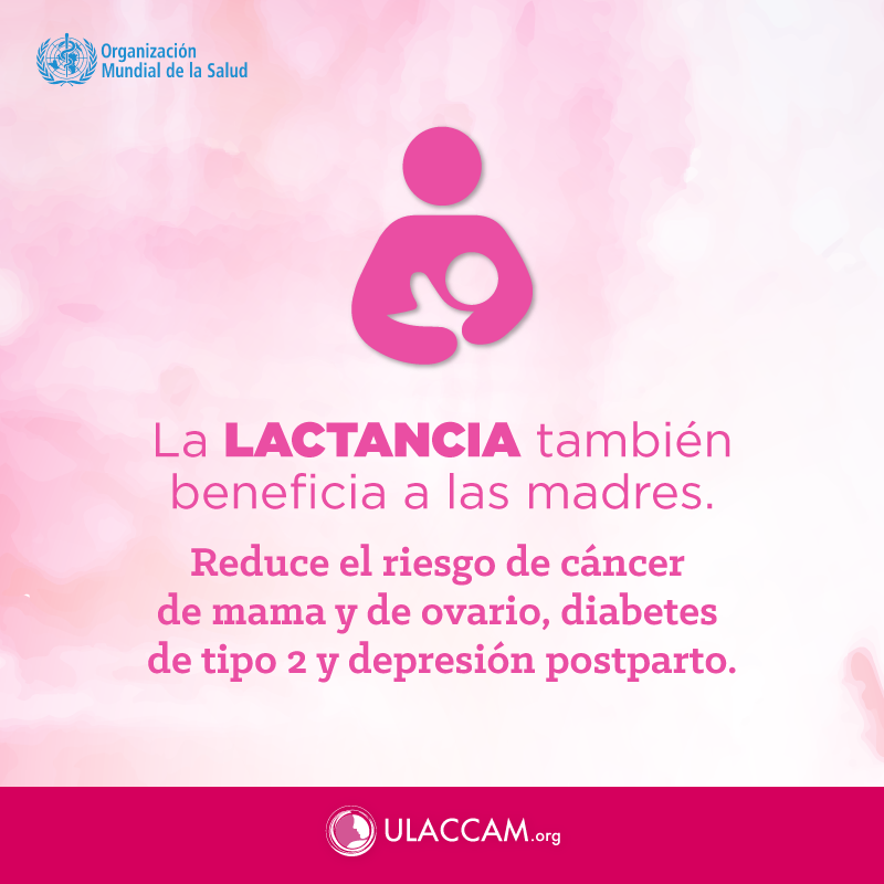 ULACCAM's tweet photo. Los beneficios que tiene la lactancia  materna  para el bebé son irrefutables así como los beneficios para la mamá, la lactancia tiene un efecto protector. https://t.co/nTtCBFhFkH https://t.co/Zi2aU6IRn0