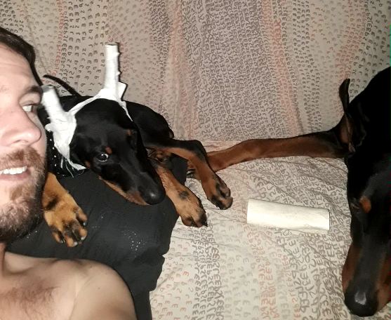 How a Doberman should live. <a href="/HilaKleinH3/">Hila Klein</a> <a href="/h3h3productions/">Ethan Klein</a>