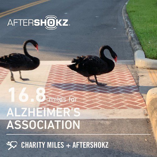 DizRuns's tweet photo. #seenonmyrun
At least they had the decency to use the crosswalk... 🤷🏻♂️
-
-
-
#runnerstyledr #neverquit #nikerunning #igrunneuses #trailrunning #runningmakesmehappy #flrunners #igrunningcommunity #trailrunnersofinstagram #loverunnings #daddyrunner #runn… https://t.co/YVSXQl53JS https://t.co/o6bIrLvrVz