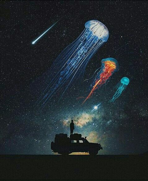 UniInterestelar's tweet photo. 💭😏

#universo #interestelar #nasabrasil https://t.co/1ECcCDEZX1