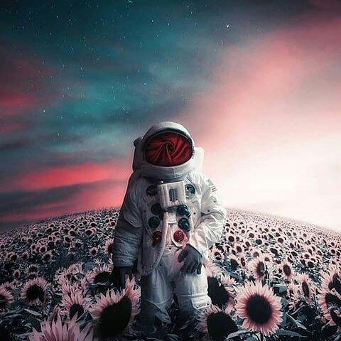 UniInterestelar's tweet photo. 😏🍃
#astronauta #nasa #nasabrasil https://t.co/RXCAvj30nE