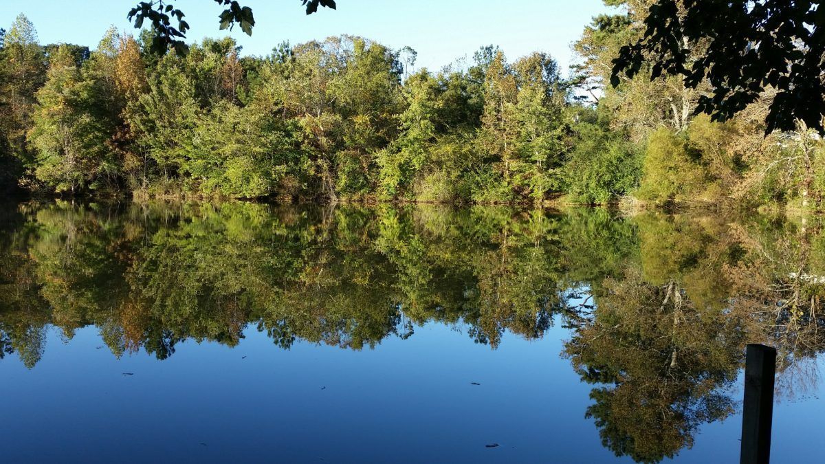 LakeLanier.com tweet media