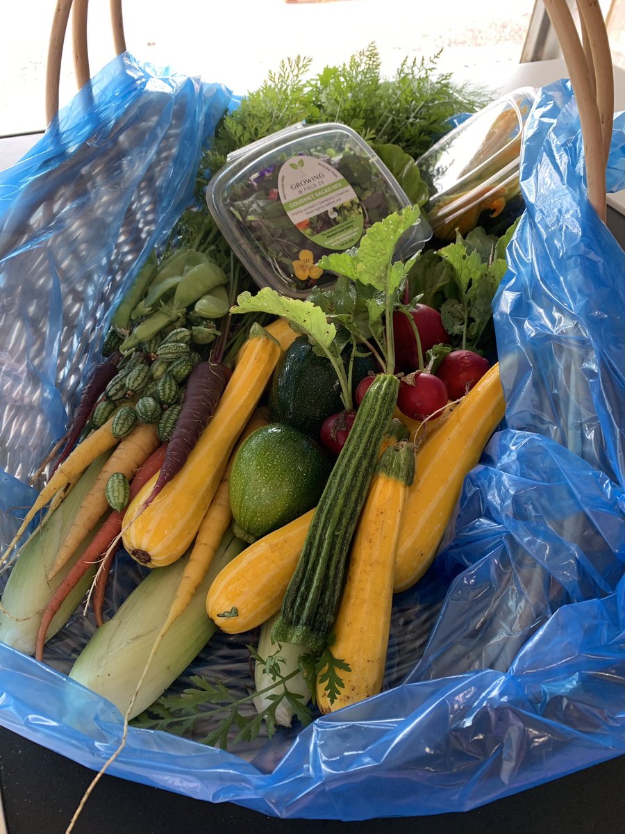 Growingfield28's tweet photo. Picked and ready to pack in this weeks veg box. #courgette #cucamelons #carrots #fennel #microsalad #courgetteflowers #radish. https://t.co/6z9L6J4chd