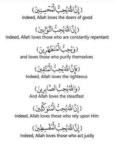 AskusaboutIsla1's tweet photo. #AllahuAkbar #Islamic #Muslim #Muslims #muslimah #Quran #hadith #islam #shahada #revert #alhamdullillah #hajj #allah #sabr #nabi #Allah #kabah #prayer #dua #hijab #beard #prophetmuhammadﷺ #ProphetMuhammad https://t.co/Y2jPRoNxFA