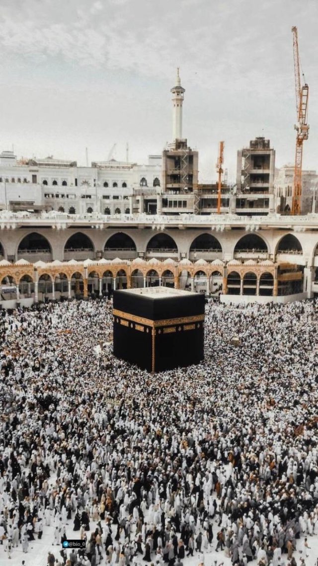 NADAAapo's tweet photo. #يوم_عرفه_1440 ربّي عوضني خيرًا عن كل شيء انكسر بنفسي وكل يأسٍ أصاب قلبي اللهُم ارني الفرح بمُستقبلي اللهُم سُر قلبي بفرحةٍ تغنيني عن كل تعب اللهُم عوضني بالأجمل و أرح قلبي بما أنت أعلمُ به .( اللهم آمين) https://t.co/EE611vNCxZ