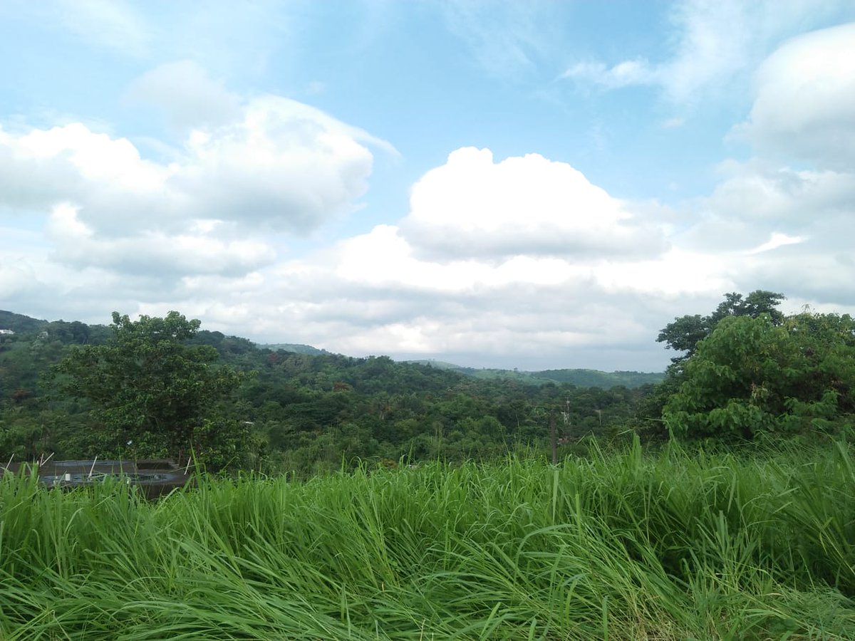 GlendaTropico's tweet photo. Nature is one of the most important thing in the world and in our lives as well.Sometimes we depend ourselves to those things that nature can provide.We always get the benefit of it but what if nature disappear because of our wrong doings?. #NCLC11STEMB #ENVIRONMENTALVALUESYSTEM https://t.co/5w2xkg3X1P
