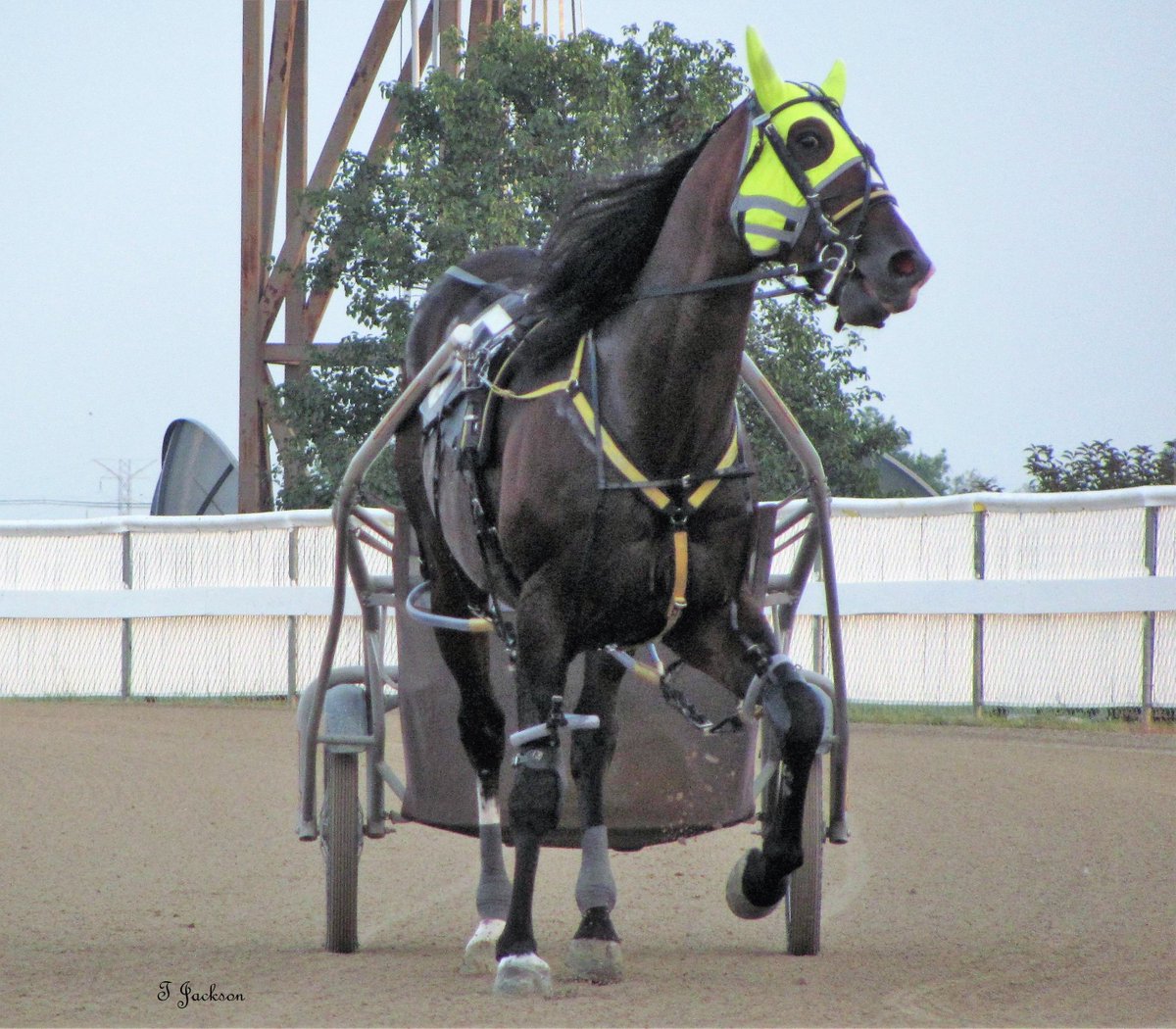 hoosiernations's tweet photo. @ClydeFr14390092 @That1BarryGuy @TheOhioWizard @Chris_wponies @JoannKi32885615 @rebelsart @jtlburn @kimberlymoier @GlenPeckinpaugh @vnssa926 @KathleenBaitzel @joe_norte @USHWACanada @chadmoore1976 @SadandSulk @HoP_Racing @____CharlieB #LatherUp joins track record holders #SweetLou #CastleFlight at Hoosier.  

Replay of #Patch26 
https://t.co/0thTM4GOik #PlayHP https://t.co/GP0dRK1JLB