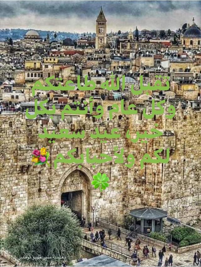 mohammad Khalifa (@khalifeh6) on Twitter photo 