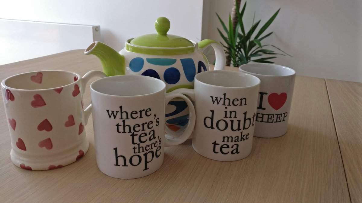 Dr Emily Handley-Cole tweet media