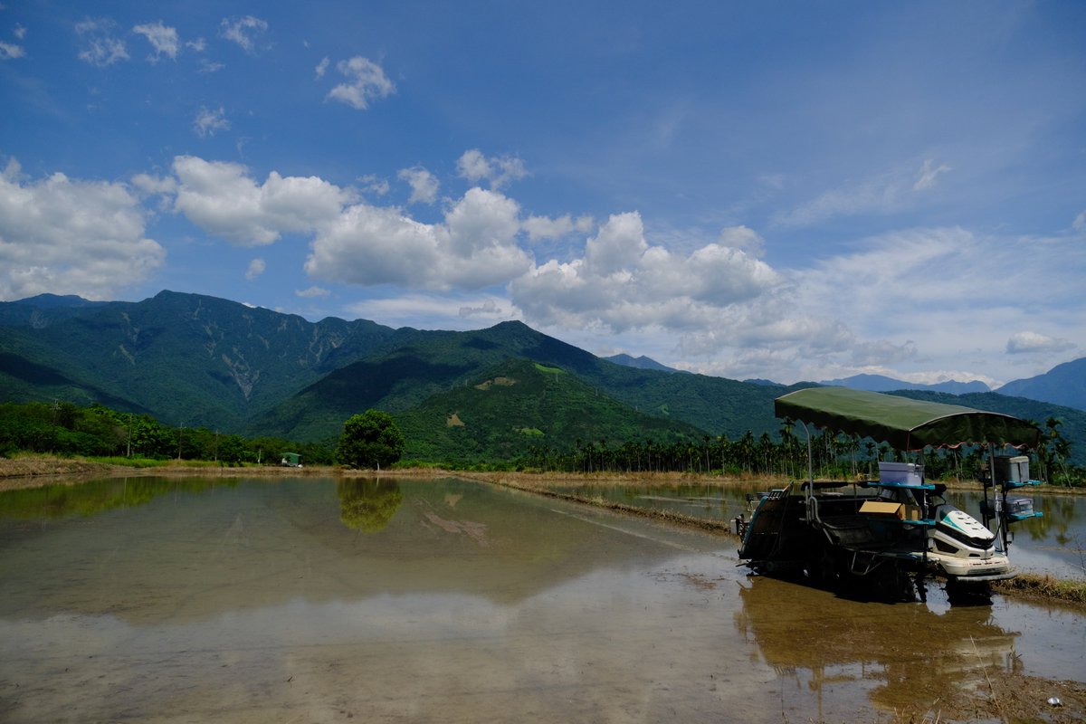 render_tw's tweet photo. It’s the season of sowing again.
#landscape #taiwan #hualien #countrysides https://t.co/EV8GKtt4eU