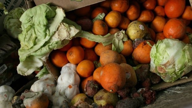 CscottduDupree's tweet photo. How eliminating food waste can help the fight against climate change
https://t.co/eyzHDIiOwN https://t.co/RxWQeulXio