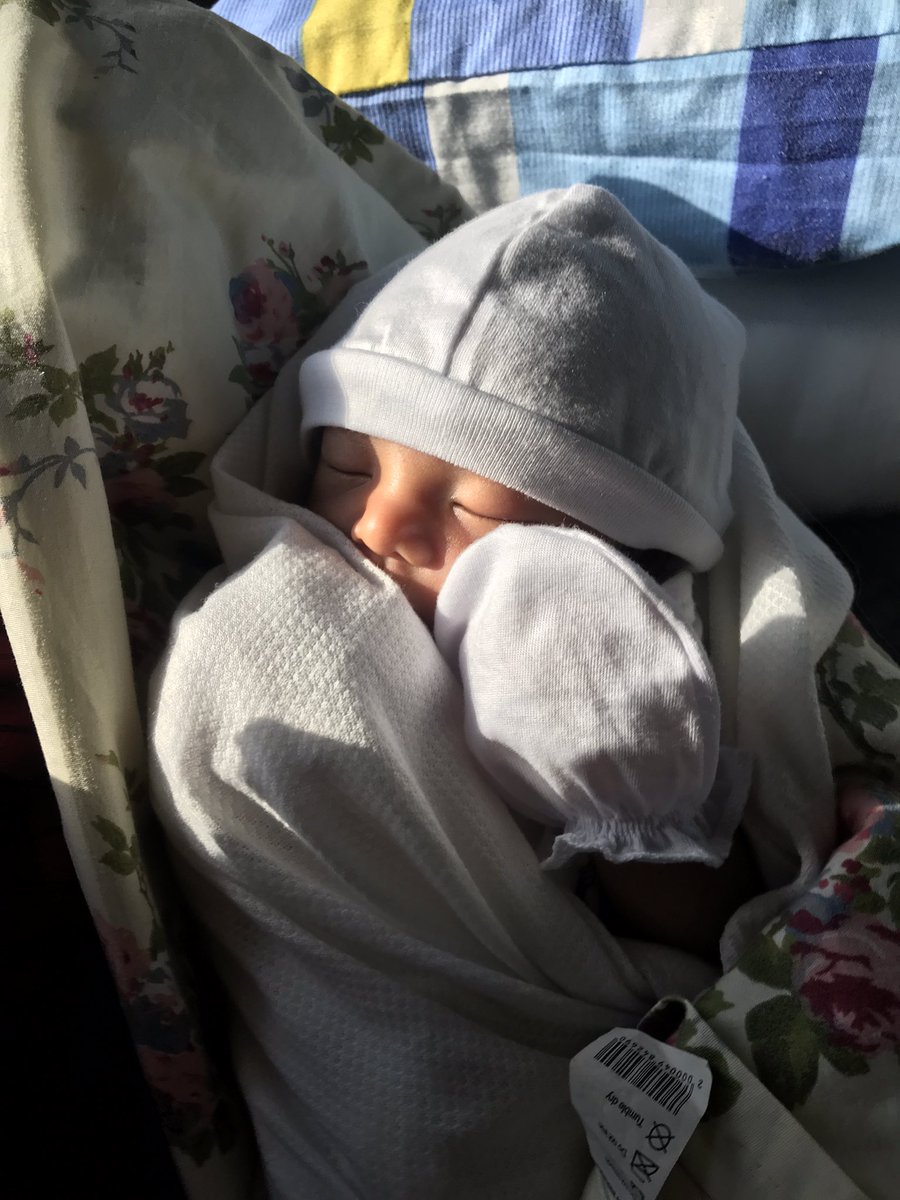 seandoKz's tweet photo. Eris Schottky Y. Densing 👨‍👩‍👧💗 https://t.co/Fn9fFu5Goc