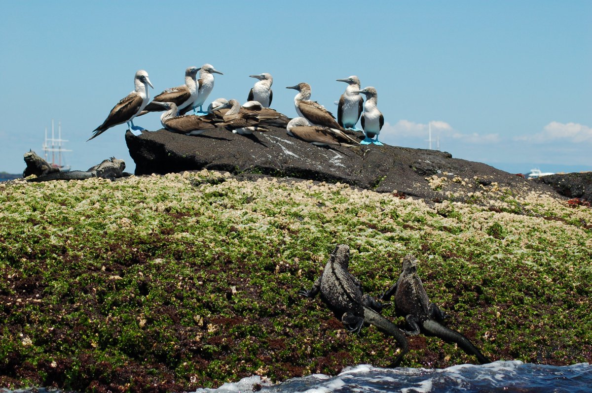 Andando Tours tweet media