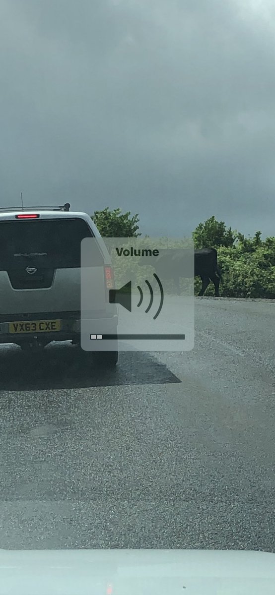 mitchbracey's tweet photo. Turned around as a tree is blocking the road then taking the alternative there’s a cow in the road only in the #shire #gloucestershire #stroud #tree #stormyweather #Weather #stormyweather #storm #thestanleys https://t.co/dboKeMsHRD