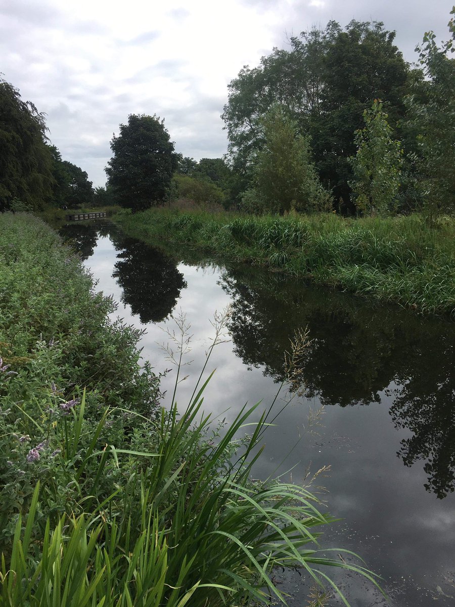 TraineeLetting's tweet photo. thecsp: RT physiojen13: Morning canal runs with the bestie then Edinburgh Fringe wanders with the girls! Fab #AHPsActive today! #loveactivity #physio #WeActiveChallenge2019 https://t.co/yyePqmK9jM