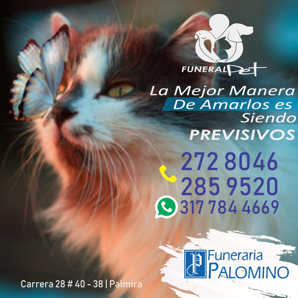 funpalomino's tweet photo. Amalos siendo previsivos. Dale la mejor despedida. Info 2728046-2859520 WSP 3177844669
.
#FunerariaPalomino #mascotas #pets #Palmira #Porpalmiravalelapena #palmiravalle #palmirave #palmiravé #palmiravende #palmiravalledelcauca #palmiravalledelcaucacolombia #quehacerenpalmira https://t.co/Xc3mpucJKK