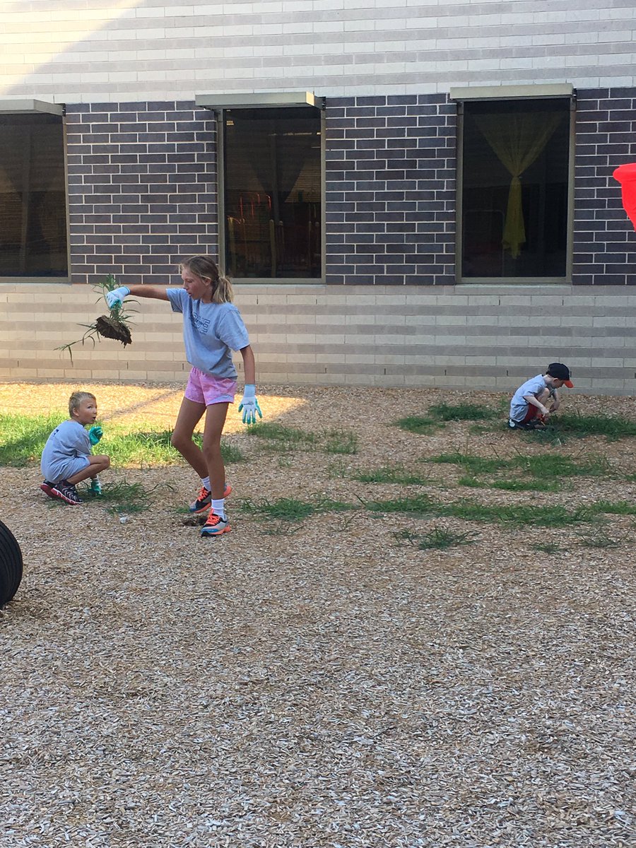 McCoy Elementary tweet media